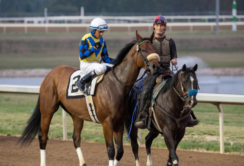 Racing Club - Horse Ownership in Alberta